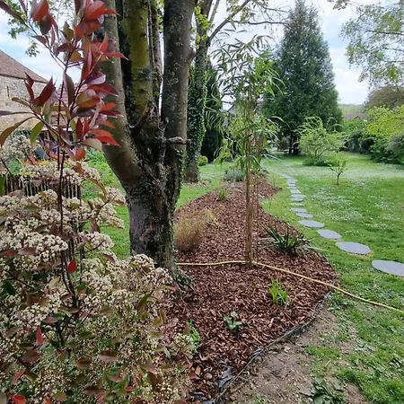 Les Glycines De Monchy- D'hôtes Couette-café