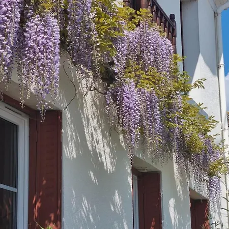 Couette-café Les Glycines De Monchy- D'hôtes