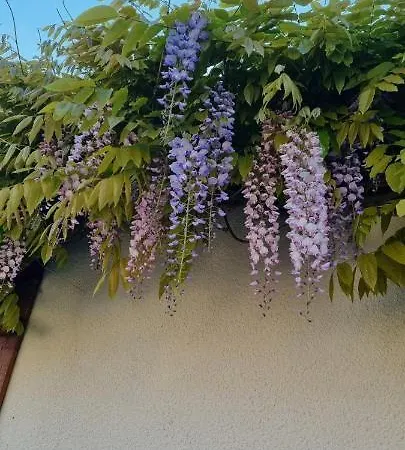 فندق مبيت وإفطار Les Glycines De Monchy- D'hotes Monchy-Humieres