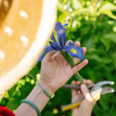 Couette-café Les Glycines De Monchy- D'hôtes