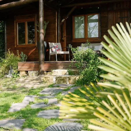 Bed & Breakfast Les Glycines De Monchy- D'hotes *