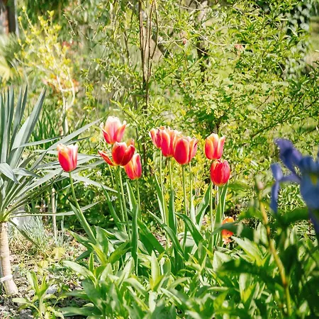 Les Glycines De Monchy- D'hotes 4*