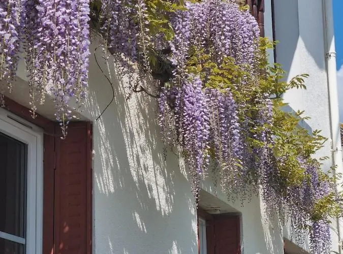 Couette-café Les Glycines De Monchy- D'hôtes