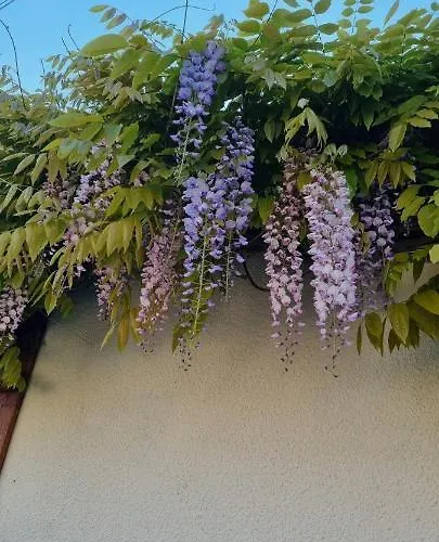 Couette-café Les Glycines De Monchy- D'hôtes Monchy-Humieres