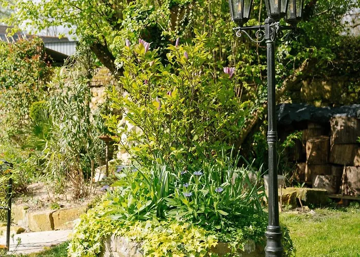 Les Glycines De Monchy- D'hôtes Couette-café 4*