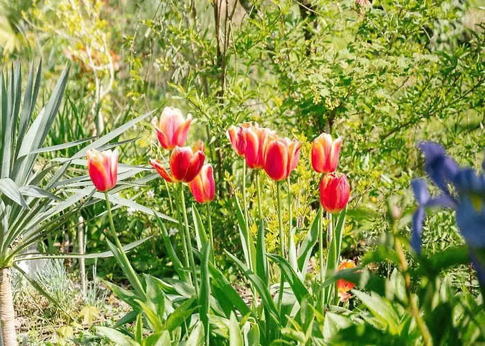 Les Glycines De Monchy- D'hôtes 4*